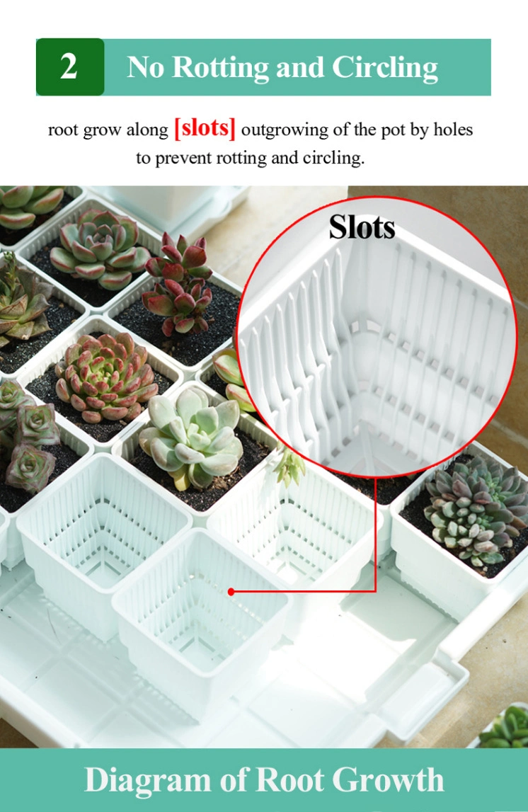 Meshpot 2 to 4 Inches Square Plastic Succulents Planter Pots with Tray Set, Nursery Pot Cactus Plant Pot Garden Pot