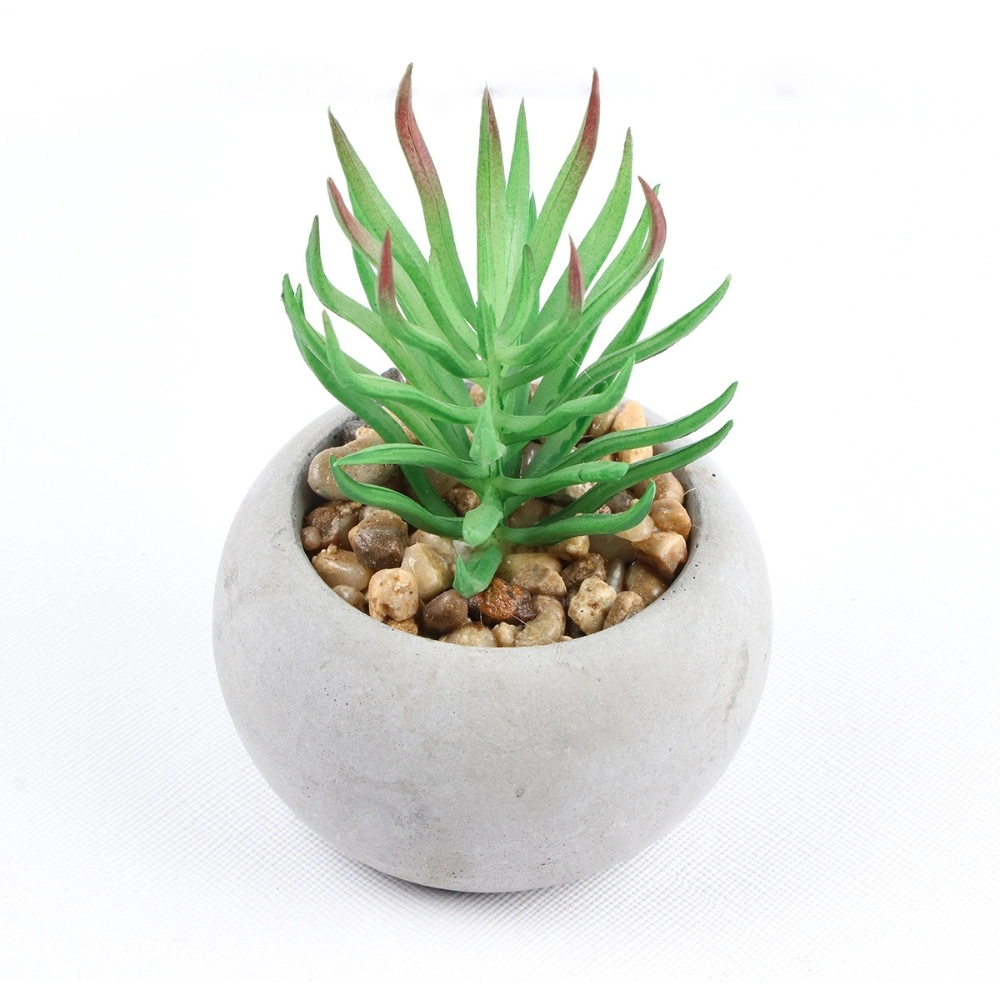 Artificial Succulent Plants in Cement Pots Realistic Faux Potted Plant Ci24797