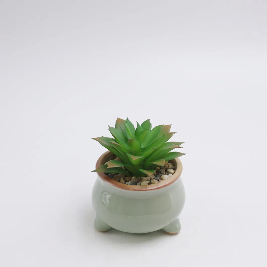 Negotiate Price Plastic Plant Succulent Plant Artificial Succulents for Outdoor Decor