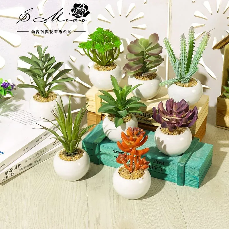 Decoration Mini Succulent Plants Bonsai Plants with Ceramics Pots