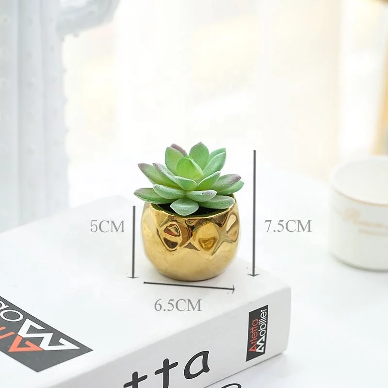 Face Succulent Plants Artificial for Party Decor Home Decoration