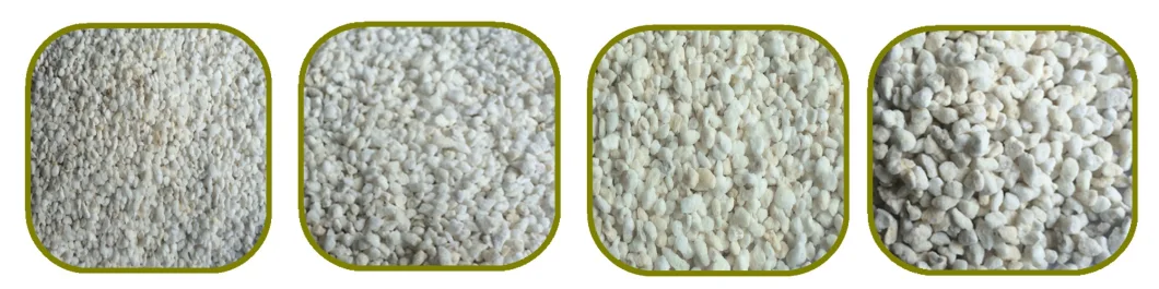 Soilless Matrix Soil Improver Agriculture Horticulture Expanded Perlite