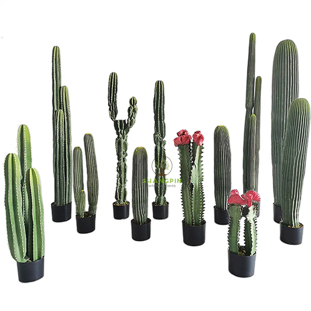 Cactus Plants Artificial Cactus Potted Plants Desert Style