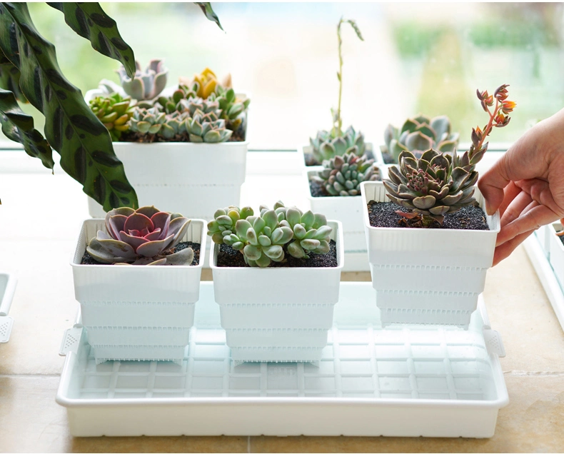 Meshpot 2 to 4 Inches Square Plastic Succulents Planter Pots with Tray Set, Nursery Pot Cactus Plant Pot Garden Pot