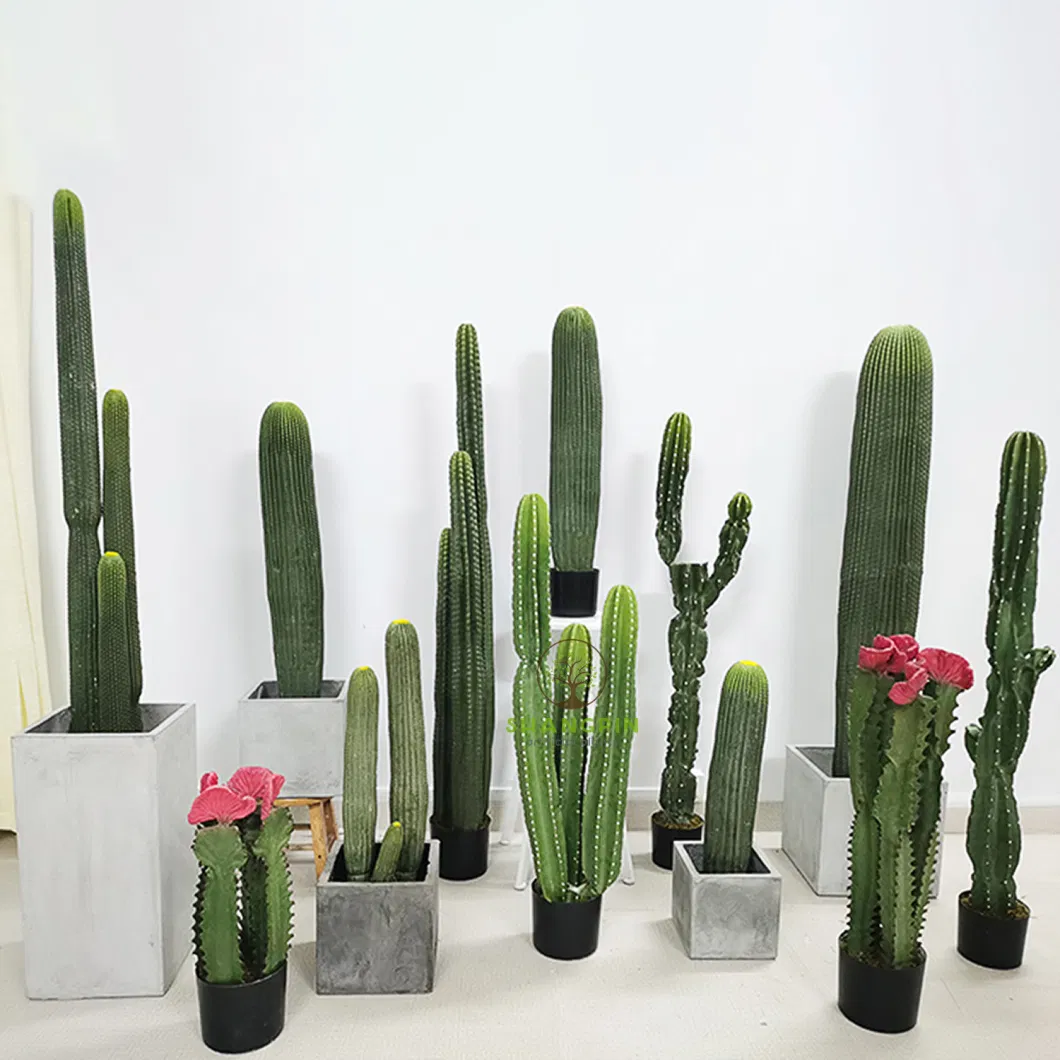 Cactus Plants Artificial Cactus Potted Plants Desert Style