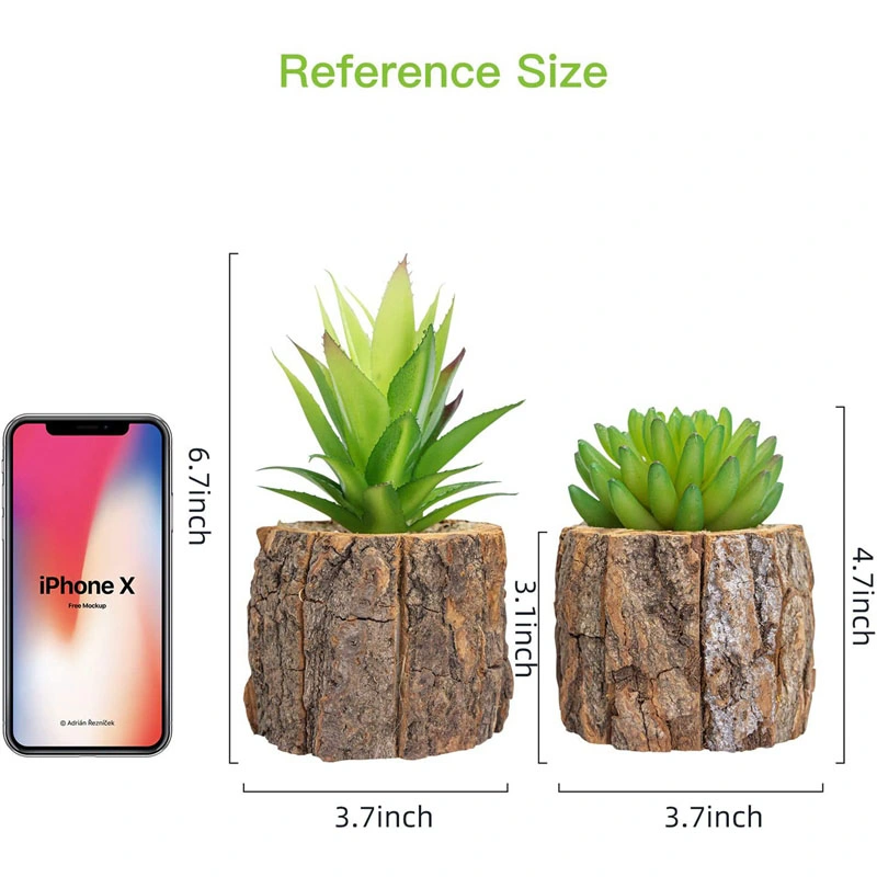 2 Pack Artificial Succulents Plants in Pots for Home Decor