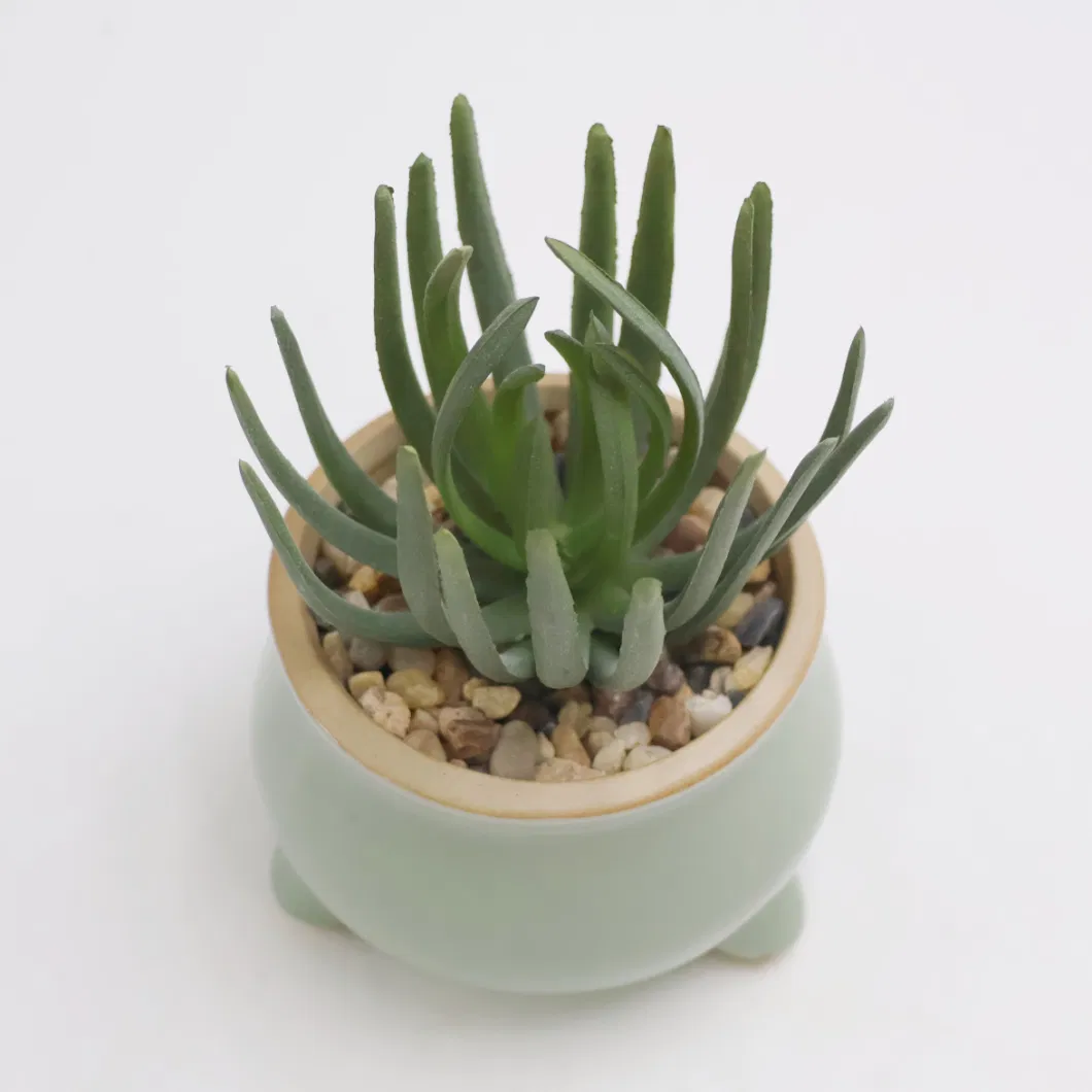 2023 New Design Artificial Plant Succulent with Ceramic Planter Pot