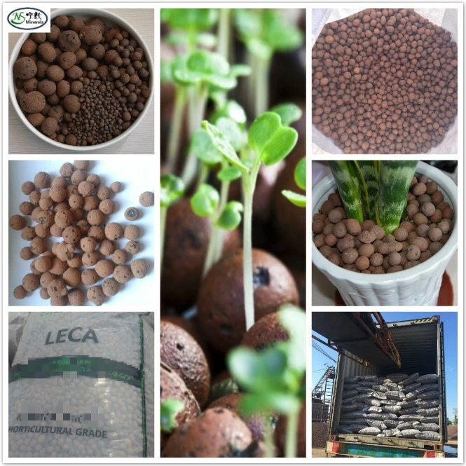 Hydroponic Growing Medium Expanded Clay for Water Treatment Hydroponic Farm