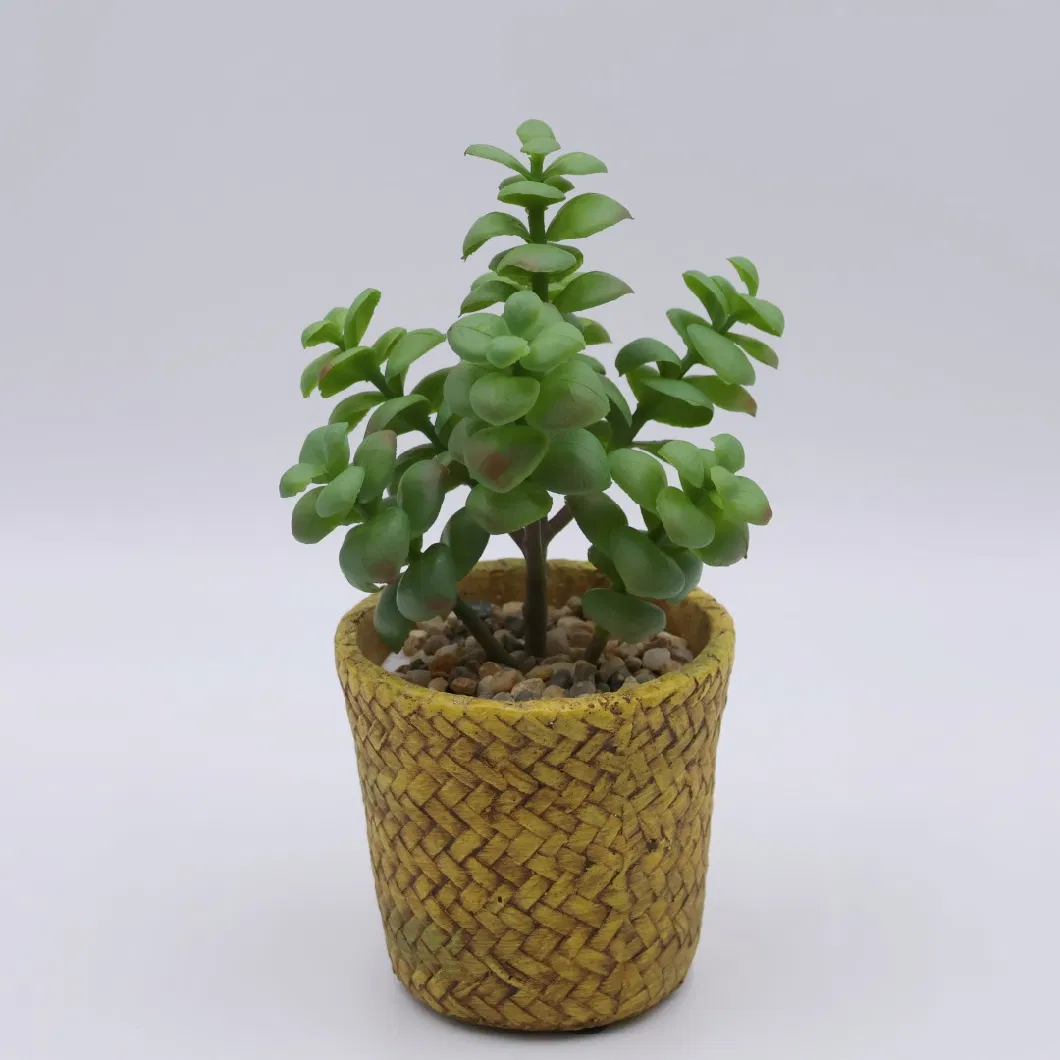 Wholesale Mini Artificial Plastic Succulent Plants Bonsai with Ceramic Planter Pots