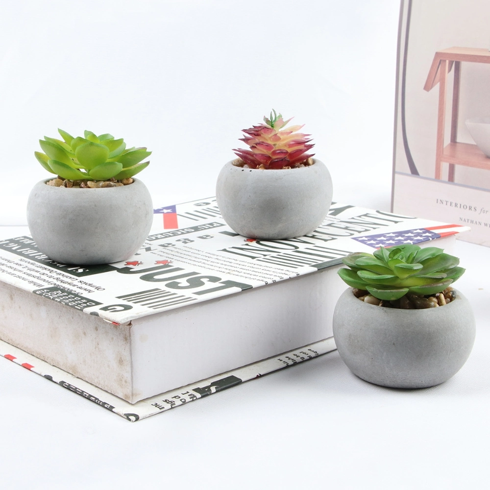 Artificial Succulent Plants in Cement Pots Realistic Faux Potted Plant Ci24797