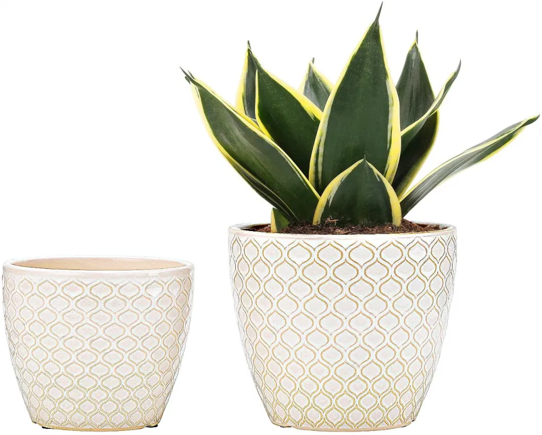 Modern Design Fashion Ceramic Succulent Pot Planter with Saucer