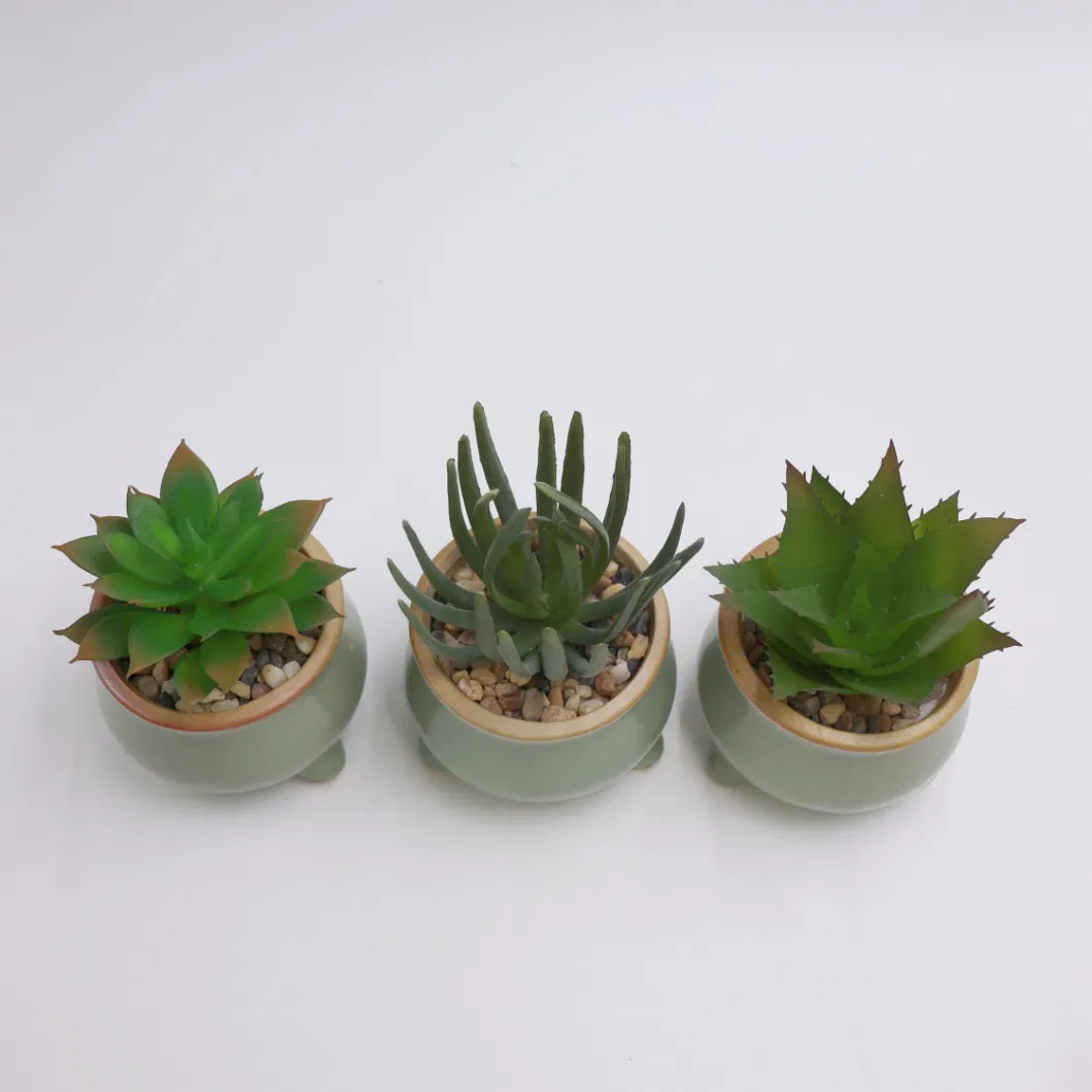 2023 New Design Artificial Plant Succulent with Ceramic Planter Pot