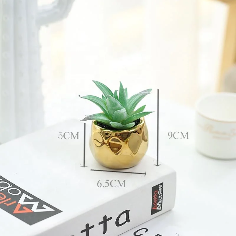 Face Succulent Plants Artificial for Party Decor Home Decoration