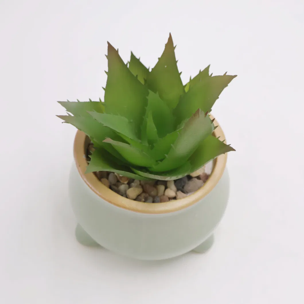 2023 New Design Artificial Plant Succulent with Ceramic Planter Pot