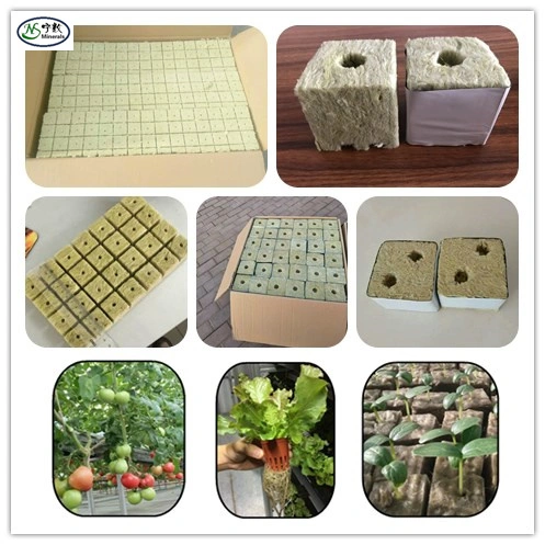 Best Hydroponic Grow Media 1inch Rockwool Grow Cubes for Seedlings