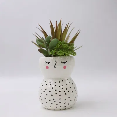  Simulazione all&prime;ingrosso Real Touch realistici varie piante succulente Soft artificiale Succulenti in plastica