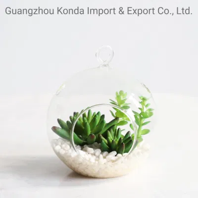  Arredamento Casa Mini pianta artificiale Cactus Succulents