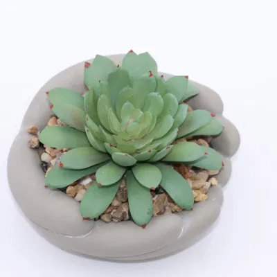  Piccola pianta artificiale Cactus succulente vasetto per scrivania decorazione Room Ornamento