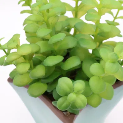  Mini pianta artificiale Bonsai plastica foglie artificiali Bonsai Live Pianta