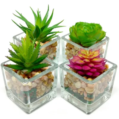  Pialla artificiale a succulente a cubo in vetro piccolo, 4 set assortiti Faux Piante con rocce lisce