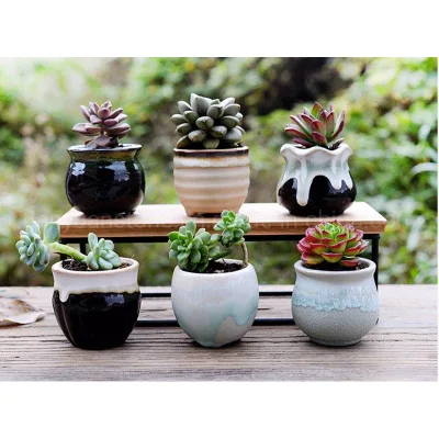  Mini vasi da fiore con Drinage, vasi succulenti con foro