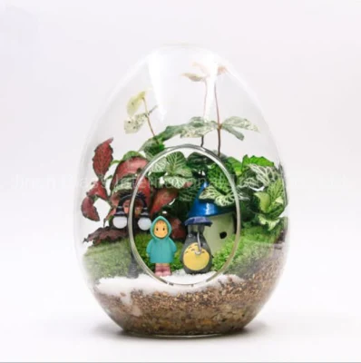 2021 Commercio all&prime;ingrosso vaso di vetro di piante succulente fiore idroponico