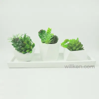  2017 New cementizio Mini pentole succulente in vendita