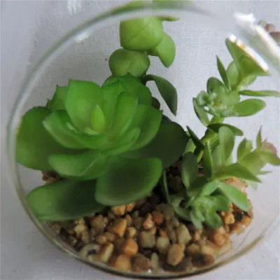  Home decorazione artificiale Fake succulente in vetro Pot