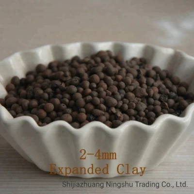  Orchidee Potted piante espanse Clay Pebble misto con Coco Peat