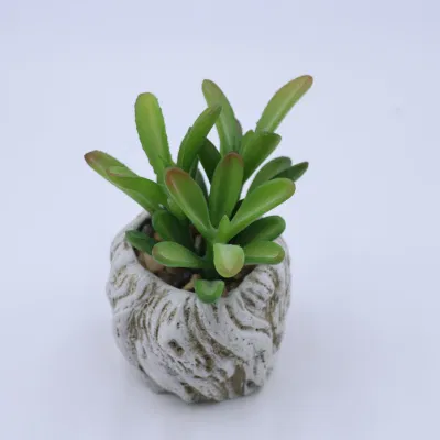  White Picket Fence Fake piante succulente Mini Farmhouse piante artificiali Impostazione