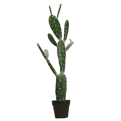  American Home decor 87cm Tutting Flat Cactus Plantas Crasas Mini Cactus piante in vendita
