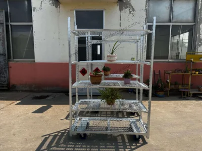  Garden Center Greenhouse Transport Hot DIP galvanizzato acciaio cc contenitore Trolley olandese succulente