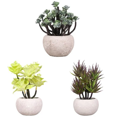  Set di 3 piante succulente artificiali in poeti di pasta