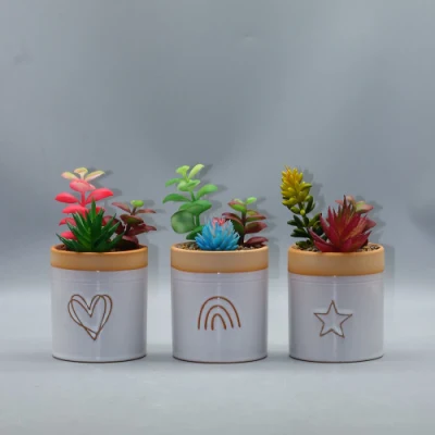 Vaso in ceramica con set di 3 succulenti per imitazione