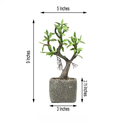  Piantatrice di calcestruzzo Pot e Willow Tree Succulent 2023 nuovo design Pianta artificiale