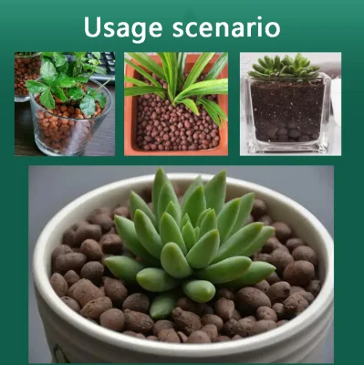  Palle per terreno in argilla traspirante all&prime;ingrosso piante Pot da giardino Accessori combinati Attrezzi per vivai Bonsai