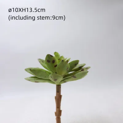  Mini piante succulente nuovo stelo Succulente in plastica colorata decorativo per Giardino