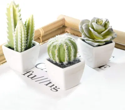  Decorazione domestica o regalo pianta artificiale Mini Succulent &amp; Cactus Piante in serie di pentole bianche a forma di cubo