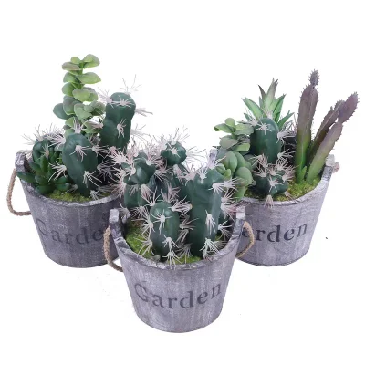  Succulente piante in vaso Mini Giardinaggio decorativo piante artificiali Bonsai arredamenti