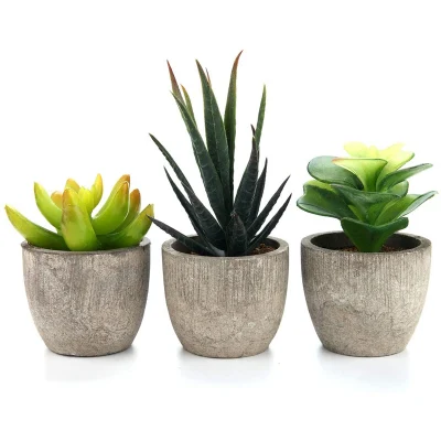  3PZ. Impianti di simulazione Faux Succulente artificiale Succulente con Set di pentole