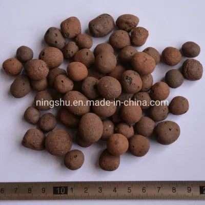  Pebble di argilla Idrosalls Leca 8-20mm come terreno di crescita idroponico