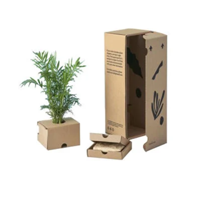  Confezionamento Succulent personalizzato pianta live Kraft Carton Carton Carton Carton piante Scatola di spedizione
