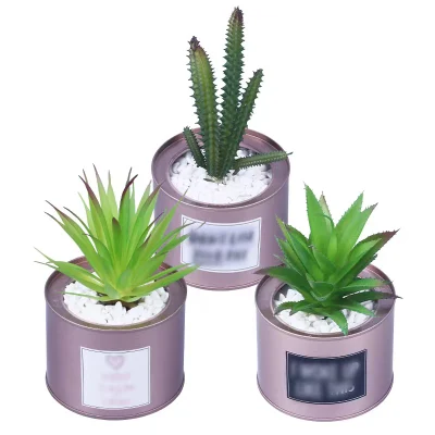  Commercio all&prime;ingrosso in azioni decorazione domestica Nordic Pots impianti plastici Succulents Bonsai