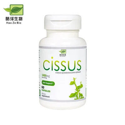  Cissus Extract Customzie Cissus Quadrangularis Capsuels OEM Private Label Ciss Cappuelli