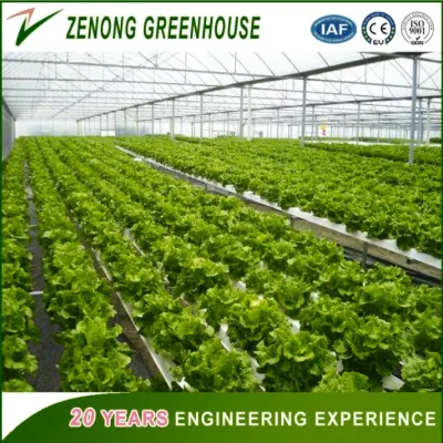  Low cost serra controllata automatica coperta con pellicola po/PE per Piantando verdure/medico/succulenti/Fiori di carne
