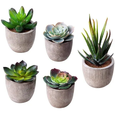  Assortiti decorativi Faux succulente torta in vaso Cactus Cactus piante succulente con pentole grigie, set di 5
