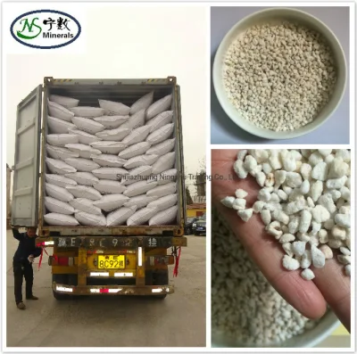  Additivo per terreno vermiculite Natural Premium Perlite per orchidee e altri Piante in vaso