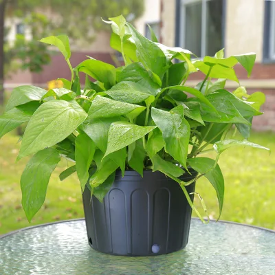  Wholeasale serra uso PP piante Pot Bonsai vivaio piante Planters Accessori da giardino