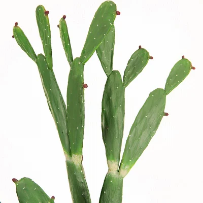  155cm Bungalow artificiale Prickly Cactus pianta per interno ed esterno Ornamento