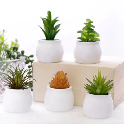  Mini piante artificiali succulente in ceramica pentole